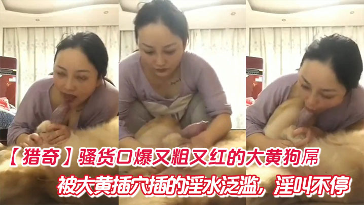 【猎奇】骚货口爆又粗又红的大黄狗屌，被大黄插穴插的淫水泛滥，淫叫不停。