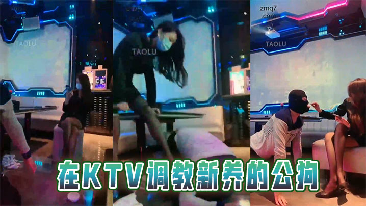 在KTV调教新养的公狗