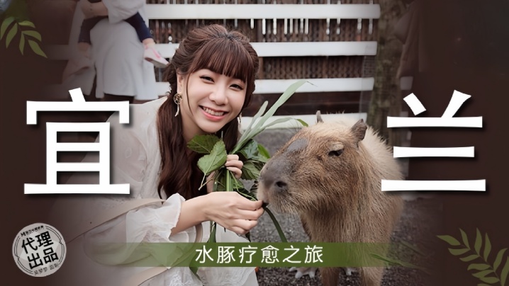 【吴梦梦】MM078 宜兰水豚疗愈之旅