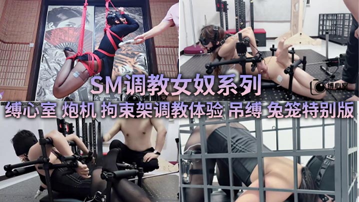 SM调教女奴系列 缚心室 炮机 拘束架调教体验 吊缚 兔笼特别版-巨乳美少女合集