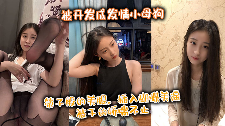 极品身材尤物御姐被开发成发情小母狗 筷子般的美腿，插入蝴蝶美逼 被干的娇喘不止