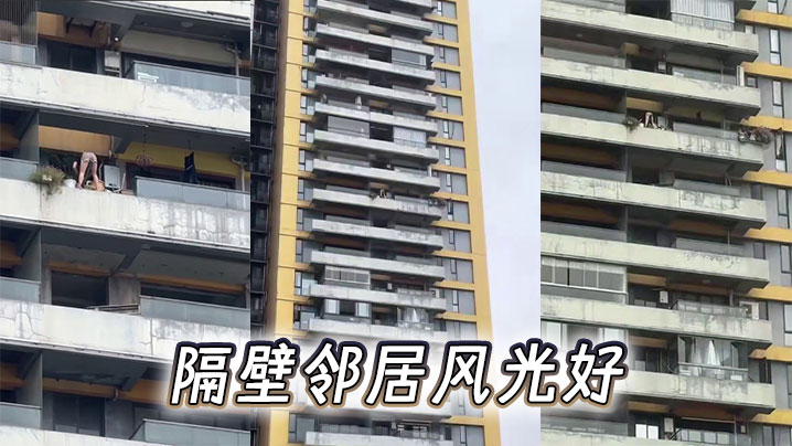 隔壁邻居风光好