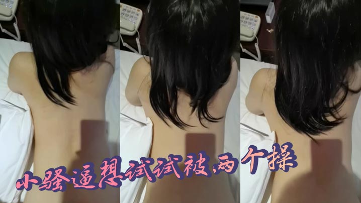 小骚逼想试试被两个操